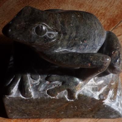 La prophetie des grenouilles